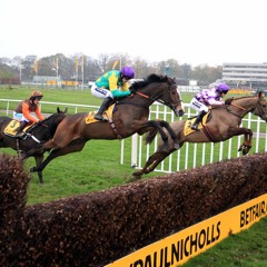 Kauto Star 'The Horse of a Lifetime'