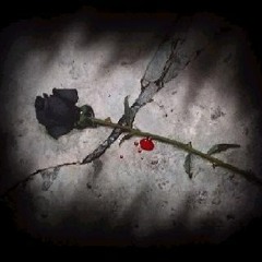 Murio La Flor - ParcaMc