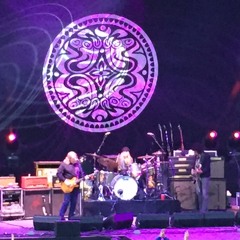 Gov't Mule - Tomorrow Never Knows (live at Mountain Jam 2015)