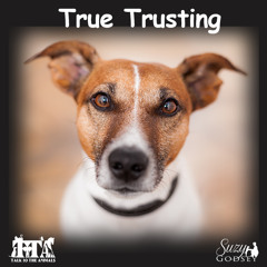 True Trusting