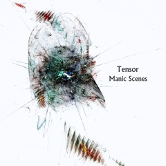 Tensor- Manic Scenes