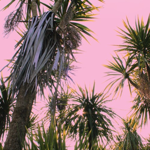 Meadow - Introspects