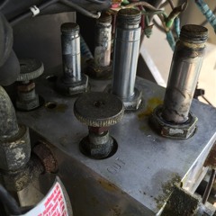 Sane as Lemmings-lost cult -Salas&Brown