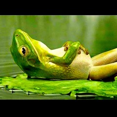 Radio Porno Mix 1#