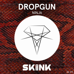 Dropgun - Ninja