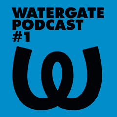 Watergate Podcast #1 - Ruede Hagelstein