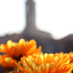 O Sole Mio