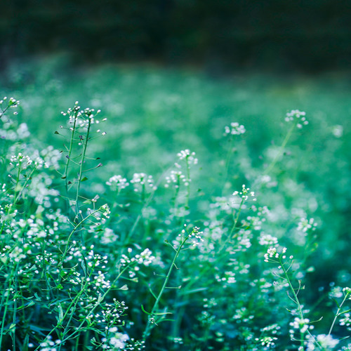 Top tracks - June 2015