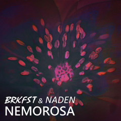 BRKFST & Naden - Nemorosa (Naden Remix)