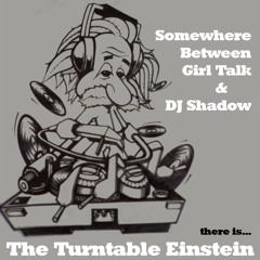 The Turntable Einstein - Somewhere Between Girl Talk & DJ Shadow (Mashup Album)
