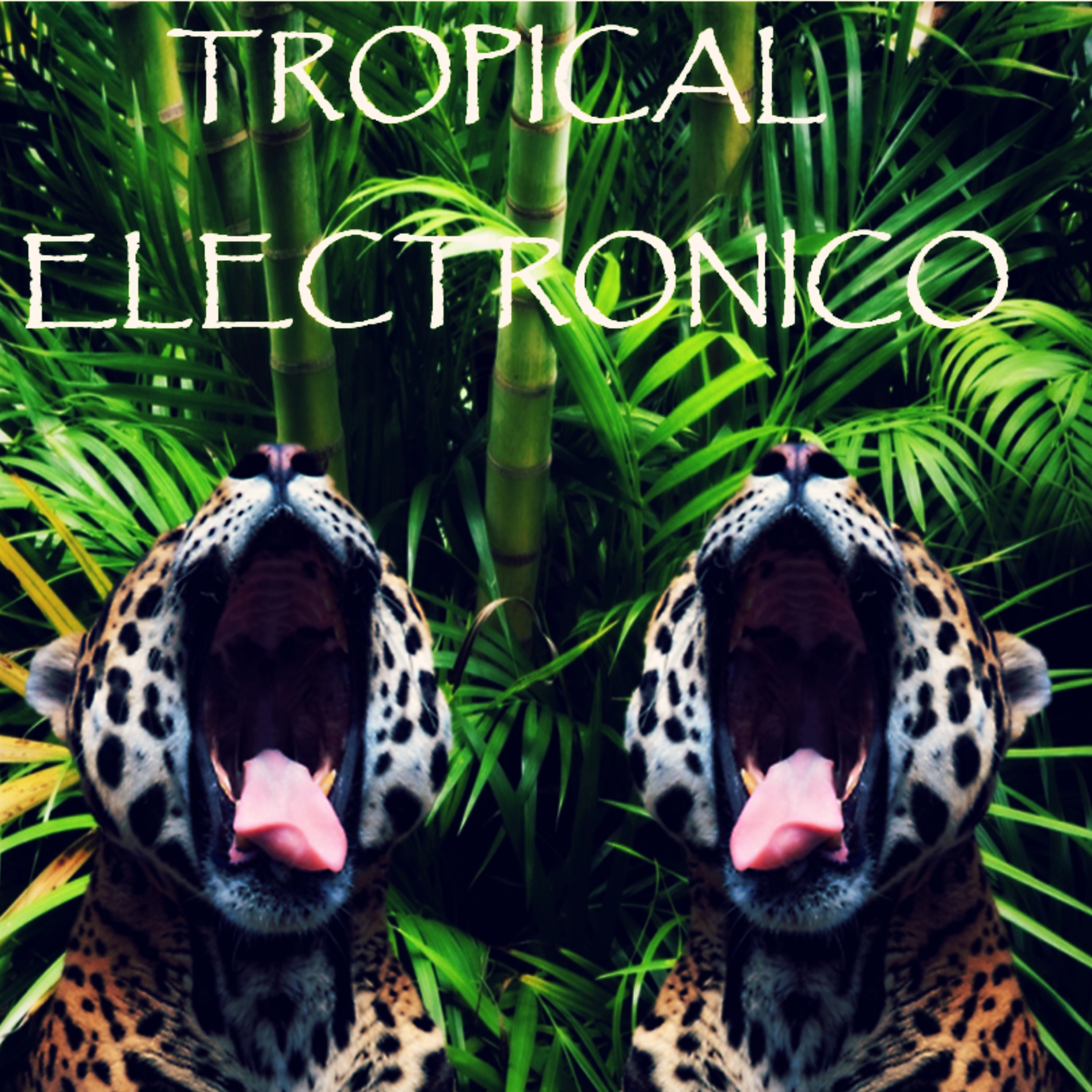 TROPICAL ELECTRONICO -  HOUSEDP episode artwork