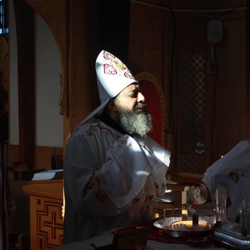 Gregorian Intro To Fraction And Fraction For Palm Sunday 2015 - Fr. Morkos Elkomos