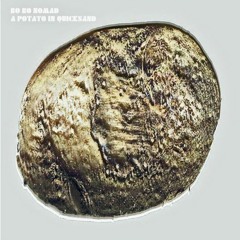 A Potato In Quick Sand-Bo Bo Nomad V New Dinosaur Extinction