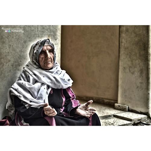 زجليات أنصار ❤✌