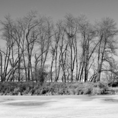 Do You Love Me Now? {The Breeders} (Cover)