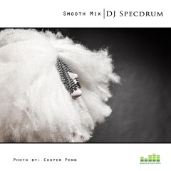 DJ Specdrum Smooth MIx