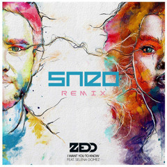 Zedd - I Want You To Know ft. Selena Gomez (Sneo Remix)
