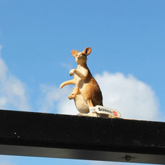 カンガルー鈴木 - オカザえもん音頭 (Too Much Soul mix)