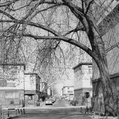 king Jafi ft Blakk I Need You