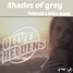 Shades of Grey  (Aviiro & PolGrand Remix)