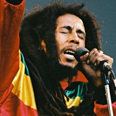 Don't Worry Bout A Thing - Bob Marley