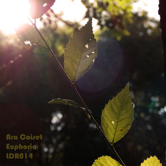 [LDR014] Ara Coiset - Annoying Fly (13-06-2015)