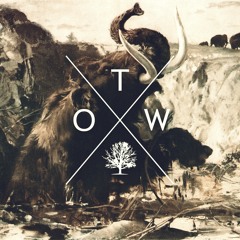 Dimitri Vegas, MOGUAI & Like Mike - Mammoth (OTW Remix)