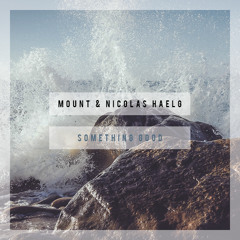 MOUNT & Nicolas Haelg - Something Good (Original Mix)