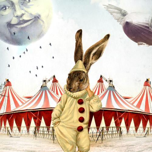 Roger Rabbit - Set @ Psychedelic Circus