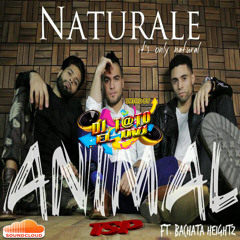 Naturale Ft Bachata Hightz - ANIMAL - DJ T@TO INTRO Simple Edit 125 BPM - TSP