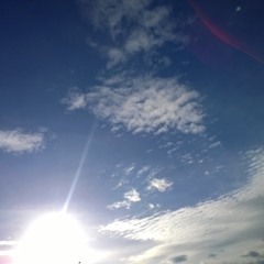 NightQuarium - Braille