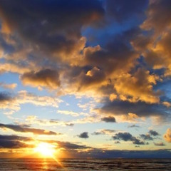 This New Day MONTAGE