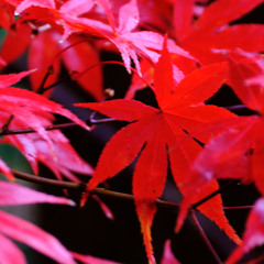其の拾肆(No.014)