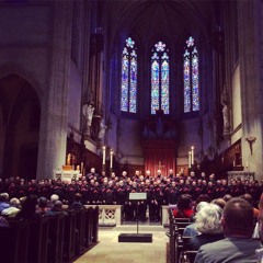 Can You Feel The Love Tonight