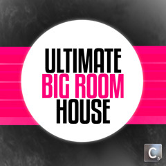 Big Room House