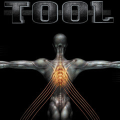 No Quarter - Tool (Salival)