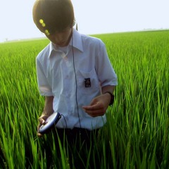 Arabesque No.1 In E Major L.66