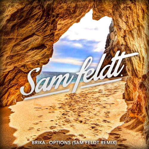 Brika - Options (Sam Feldt Remix)