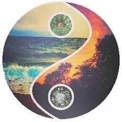 VIBEz