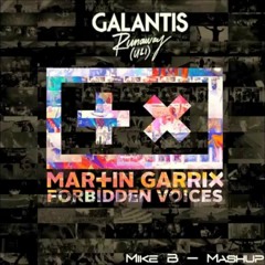 Martin Garrix & Galantis - I'll Do It For You