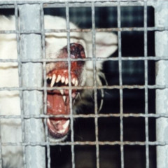 [raps.] manic||depressive (prod. youtaro||matatabi)