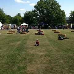 Blythe Hill Festival 4 July 2015