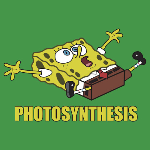 Photosynthesis (Spongebob Beat)