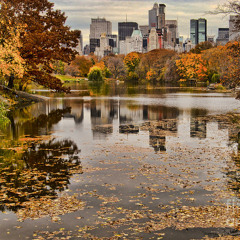 Autumn in New York