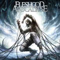Fleshgod Apocalypse - The Violation ( Cover )