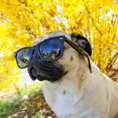 Fuck Your Macho Bullshit Forever