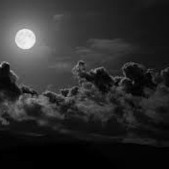 Moonshine