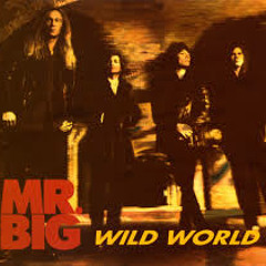 Mr. Big - Wild World [Fingerstyle Guitar Cover][weird - coverVersion]