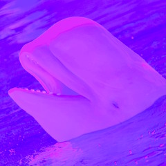 Time To Lean (Purple Sun)