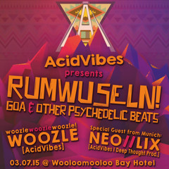 Woozle // at RUMWUSELN! presented by AcidVibes [03.07.15]
